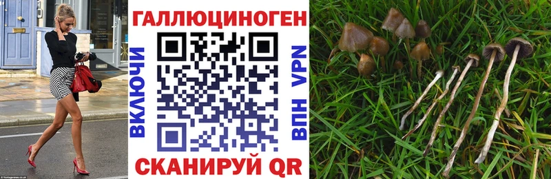 Псилоцибиновые грибы ЛСД  даркнет сайт  Неман 